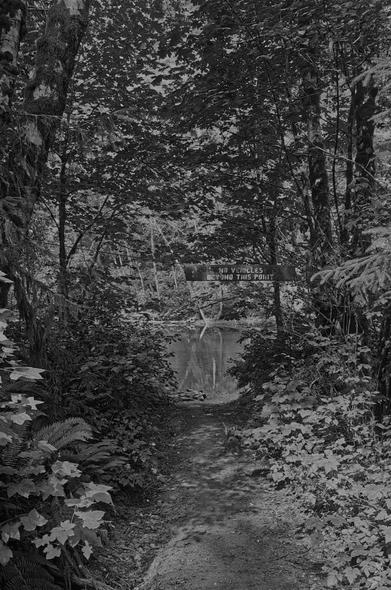 A narrow dirt path leads through dense trees & foliage. A sign reads - No Vehicles Beyond This Point - in the distance. The area is serene with a glimpse of a calm river behind the sign. Black & white photo.