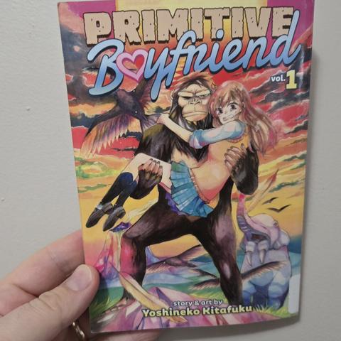 Photograph of a white person's hand holding Volume 1 of Primitive Boyfriend against a light colored wall. The cover shows a teenage girl in a Japanese school uniform behind held in the arms of an ancient ancestor of mankind that is largely covered in fur with a very colorful background of a prehistoric world.