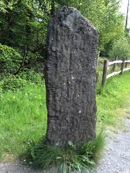 Ogham Stone at the Irish National Heritage Park, Wexford, Ireland.