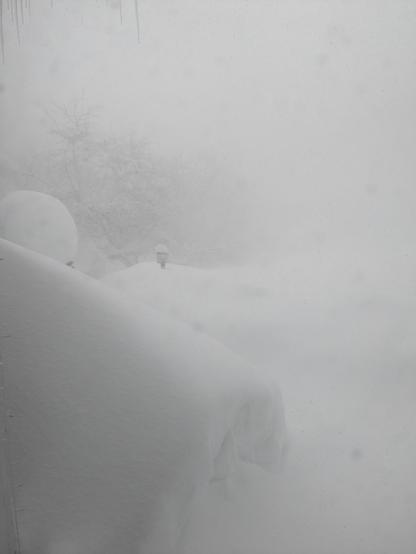 Looking out a front door onto a front yard with blinding snow and already high banks of the stuff.