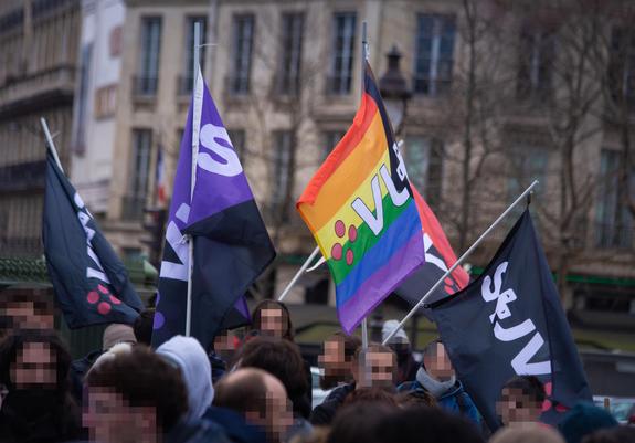 Photo du rassemblement du STJV à Paris, dans le cadre de la grève générale du jeu vidéo du 13 février 2025. Au premier plan, une foule de manifestants dont on ne voit que la tête, avec un filtre de flou pour protéger leur identité. Derrière, 4 drapeaux STJV en éventail. De gauche à droite : un drapeau noir, un drapeau anarcha-féministe, un drapeau LGBT et un drapeau noir, tous frappés du logo STJV en leur centre. Au fond, un immeuble haussmanien flou.