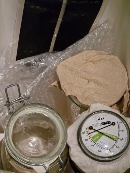 Das innere einer alten Kühlbox, mit Heizmatte und den 3 Gläsern mit Sauerteigen.
Roggen mit Hefe, Roggen ohne Hefe, Weizen ohne Hefe