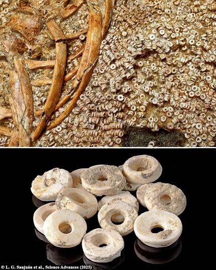 World’s largest ancient bead collection discovered in 5,000-year-old tomb in Spain

Archaeologists working at the Montelirio tholos, an ancient burial site estimated to be around 5,000 years old near Seville, Spain, have unearthed what is considered the largest collection of beads discovered in a solitary grave. This extensive array includes more than 270,000 beads, primarily made from marine shells. This remarkable find offers valuable insights into the societal and technological developments of Copper Age societies in southwestern Spain.