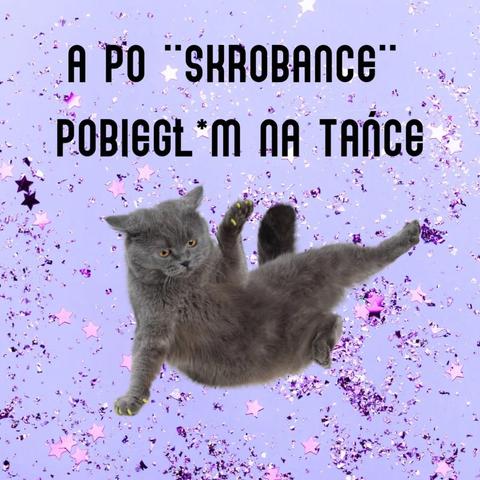 wygibasy kotka i podpis: a po "skrobance" pobiegł*m na tańce
