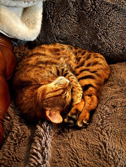 The image shows a cat with a spotted or striped pattern, likely a Bengal cat, sleeping on a fluffy, textured blanket or cushion. The cat is curled up comfortably, nestled in a cozy setting.