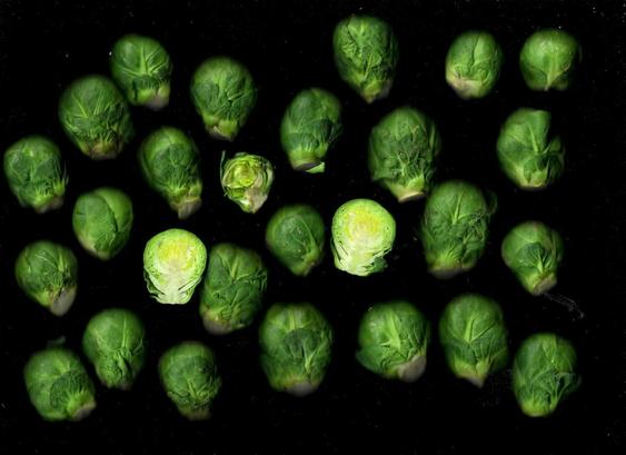 Das Bild zeigt zahlreiche Rosenkohlköpfe, die gleichmäßig auf einer schwarzen Hintergrundfläche verteilt sind. Die kleinen, runden Kohlköpfe haben eine grüne, leicht strukturierte Oberfläche mit gefalteten Blättern. Einige sind an den Schnittstellen heller, fast gelblich. Zwei Rosenkohlköpfe sind halbiert, sodass ihre innere Struktur sichtbar ist.