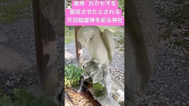 山代温泉にある【服部神社】はカカセオを服従させたとされる「天羽槌雄神」が御祭神