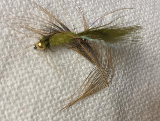 An olive bead head wooly bugger with the brown hackle feather loosely hanging off the body.