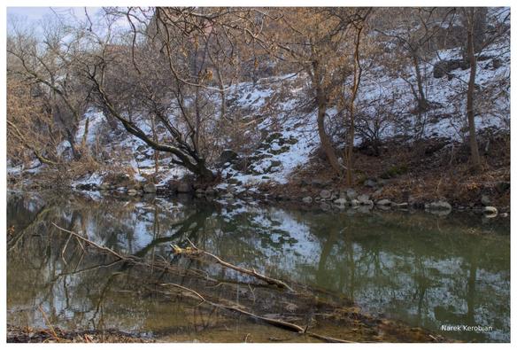 The photo is taken from a bank of a slow flowing river in winter. There are trees on the opposite side with branches leaning over the river. There is a fallen tree submerged on the shallow parts, but is clearly visible.