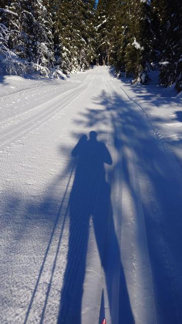 Det er i motbakkene det går oppover. Sola i ryggen opp bakkene i skiløypa.