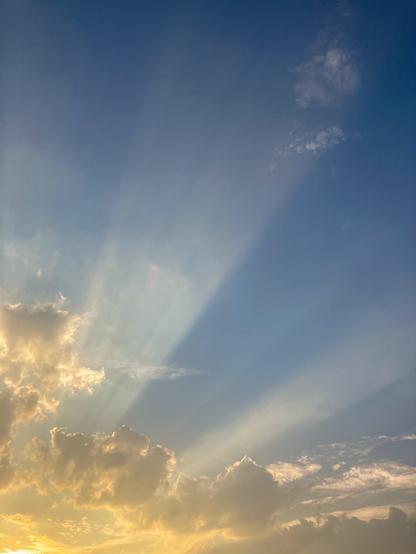 Golden hour in the morning with sunbeams against a blue sky.