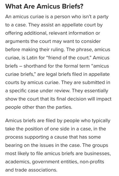 What Are Amicus Briefs?
An amicus curiae is a person who isn’t a party to a case. They assist an appellate court by offering additional, relevant information or arguments the court may want to consider before making their ruling. The phrase, amicus curiae, is Latin for “friend of the court.” Amicus briefs – shorthand for the formal term “amicus curiae briefs,” are legal briefs filed in appellate courts by amicus curiae. They are submitted in a specific case under review. They essentially show the court that its final decision will impact people other than the parties.

Amicus briefs are filed by people who typically take the position of one side in a case, in the process supporting a cause that has some bearing on the issues in the case. The groups most likely to file amicus briefs are businesses, academics, government entities, non-profits and trade associations.