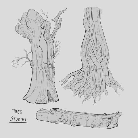 Tree stump drawings