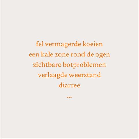 fel vermagerde koeien 
een kale zone rond de ogen
zichtbare botproblemen
verlaagde weerstand
diarree
…