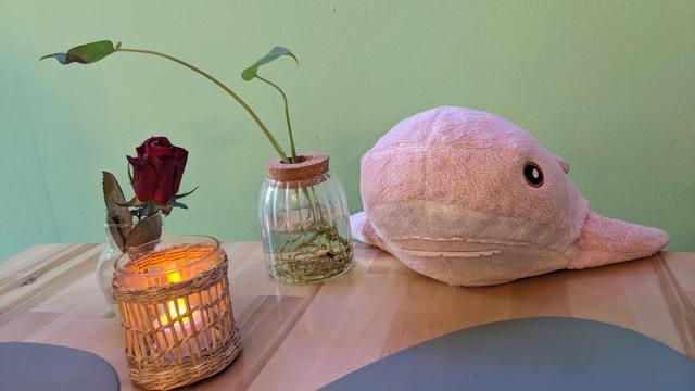 Rosåhaj on a table with a candle and a flower.