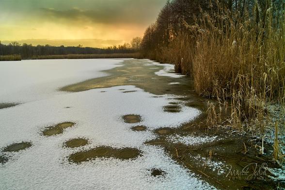 Late afternoon on a frozen pond. The right part of the frame shows a strip of dry reeds and trees on the edge of the pond. On the horizon, behind the trees, you can see the setting sun, which gives an brown-gold color to the slightly hazy sky. The central part of the frame up to the lower left corner is the frozen surface of the pond, lightly covered with fresh snow. Along the shore, near the reeds, on the surface of the lake you can see a long, irregular ice path, without snow. There are several regularly circular holes on the snow-covered ice. They probably come from gases released from the swamp. The brown-orange light of the sky is reflected on the ice and gives a slightly golden character to the entire photo.