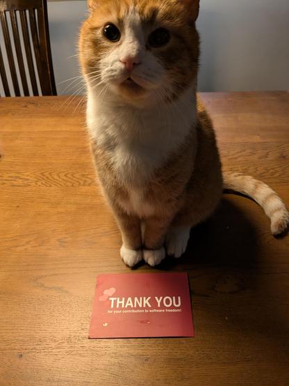 Orange cat standing behind a postcard, saying "Thank you for your contribution to software freedom!"