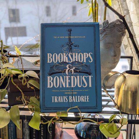 the main focus is a blue book called Bookshops & Bone dust standing in front of a window. 