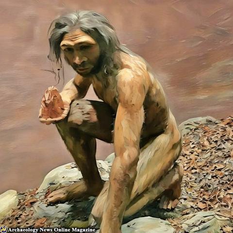 Archaeologists uncover 1.5-million-year-old hand axes in Iraqi desert

A team of archaeologists has made a breakthrough in Iraq’s Western Desert, where seven Paleolithic sites have been discovered comprising over 850 stone tools. Led by Ella Egberts from the Vrije Universiteit Brussel (VUB), this research was undertaken in late 2024 in a pilot project investigating the geomorphological history of the region and assessing the potential for the preservation of ancient archaeological sites.

In the Al-Shabakah region, during the Pleistocene, there was a vast lake. The surroundings and the now-dry lake bed, crisscrossed with ancient dry riverbeds known as wadis, yielded many artifacts. The finds included Lower Paleolithic handaxes, potentially dating back to 1.5 million years, as well as Middle Paleolithic Levallois reduction flakes from around 300,000 to 50,000 years ago...