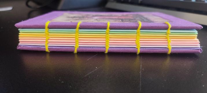 Detail of a coptic stitch binding spine. Covers are purple, and the signatures are  of different color, with pastel tones.