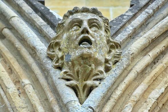 a gargoyle at salisbury cathedral