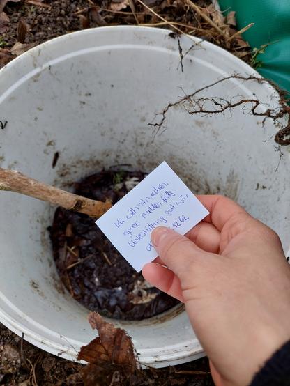 Ich habe 2024 einen Amphibienschutzzaun entdeckt, aber kannte die dazugehörige Gruppe nicht. Also legte ich einen Zettel mit meiner Nummer in den Eimer. Der Eimer ist am Amphibienzaun im Boden eingelassen. Die Tiere können den Zaun nicht überwinden und fallen in den Eimer. Morgens und abends werden sie über die Straße getragen.
