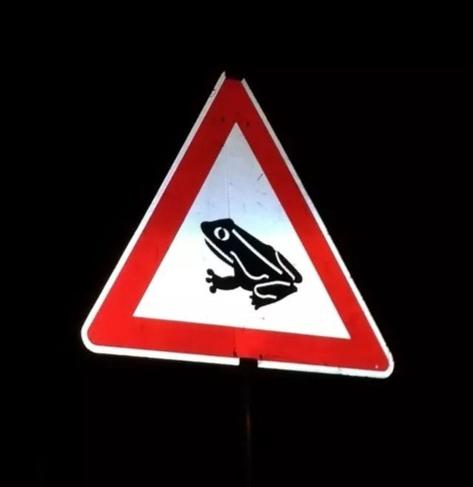 Straßenschild: "Achtung, Amphibienwanderung". Eigentlich soll das Schild bewirken, dass die Menschen langsam fahren, damit möglichst wenig Tiere überfahren werden oder durch die Luftverwirbelungen der Fahrzeuge sterben. Bestenfalls schützt langsam fahren auch die Amphibienretter*innen.
