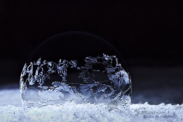 Das Bild zeigt eine Seifenblase, die auf Schnee liegt und von innen mit Eisblumen verziert ist. Die Blase ist teilweise zerbrochen und die Eisblumenstrukturen sind detailliert sichtbar. Der Hintergrund ist dunkel und unscharf, wodurch die Seifenblase im Vordergrund hervorgehoben wird. Das Bild wirkt ästhetisch und fragil.