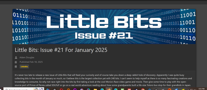 Screenshot of issue 21 of Little Bits.