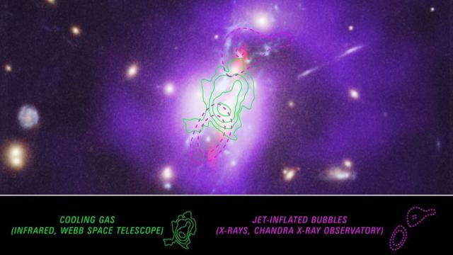 <p>The Phoenix Cluster is one of the most massive galaxy clusters known. Astronomers have identified 42 member galaxies so far, yet there could be as many as 1,000 in the cluster. Because of its size and its age, it should be finished with the vigorous star formation characteristic of young galaxies.</p>



<p>But it&#8217;s not. </p>



<span id="more-170912"></span>



<p>Star formation needs cold, dense gas. Hot gas resists collapsing into stellar cores, which become protostars and then main sequence stars. Old galaxies and clusters have either used up their cold gas or had it stripped away. These are called &#8216;quenched&#8217; galaxies. In terms of star formation, galaxies can be classified as red sequence, meaning old and quenched, or blue cloud, meaning there&#8217;s more active star formation. </p>



<p>The Phoenix Cluster&#8217;s central galaxy is about 5.8 billion light-years away and should be mostly done with star formation. Many galaxy clusters have a region of hot gas in the intracluster medium (ICM). In a typical galaxy, this gas cools down and feeds star formation. However, observations show that the rate of star formation in these galaxies is remarkably low, and there&#8217;s no evidence of the cold gas. Astronomers call this discrepancy the &#8220;cooling flow problem,&#8221; and it leads to this question: Why isn&#8217;t the ICM cooling and forming new stars?</p>



<p>The dominant answer to this is that black hole jets from active galactic nuclei are he