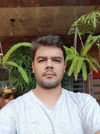 A man, with short dark hair and a light beard, looks directly at the camera with a neutral expression. He's wearing a light gray t-shirt. The background is a brick wall with hanging plants, possibly ferns, creating a natural and somewhat rustic setting. The lighting is natural, from the sun, but diffused and not directly hitting the subject.