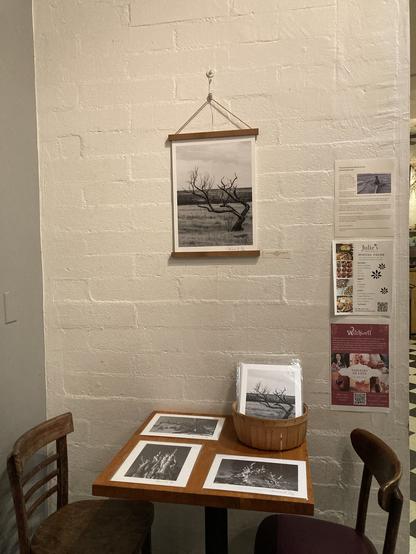A photo of a café wall and wooden table. There is a photo hanging on the wall with wooden magnetic rails. It’s a black-and-white photo of a tree. There is also an artist statement taped to the wall to the right of it as well as some ads for events at the café. On the table are three prints of black-and-white photos of trees and a basket with more prints. There is a chair to the left and the right of the table. End description.