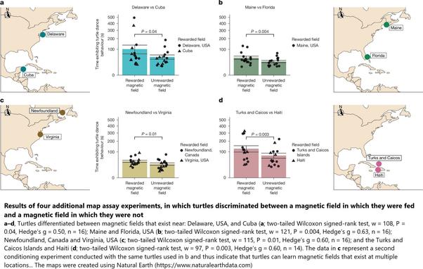 maps and charts - Results of four additional map assay experiments, in which turtles discriminated between a magnetic field in which they were fed and a magnetic field in which they were not