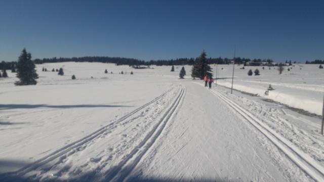 Běžecká trať s několika stopama v každém směru a mistem pro bruslení