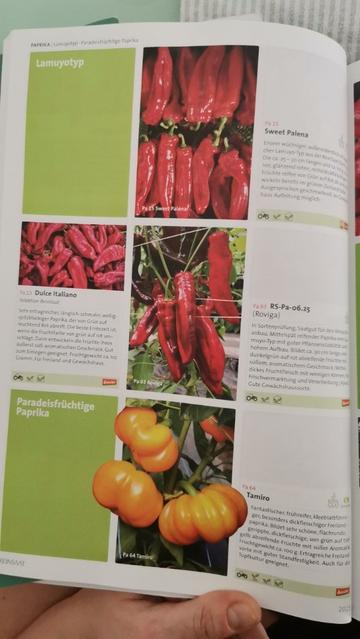 Das Bild zeigt eine Seite aus einem Samenkatalog. Die Seite ist in vier Abschnitte unterteilt, die jeweils verschiedene Paprikasorten präsentieren.

Der erste Abschnitt zeigt die "Sweet Palena"-Paprika. Es sind mehrere lange, rote Paprikaschoten zu sehen, die dicht beieinander liegen.

Der zweite Abschnitt zeigt die "Dulce Italiano"-Paprika. Hier sind viele kleine, rote, längliche Paprikaschoten zu sehen, die dicht aneinander liegen.

Der dritte Abschnitt zeigt die "Roviga"-Paprika. Hier sind einige lange, rote Paprikaschoten an einer Pflanze zu sehen.

Der vierte Abschnitt zeigt die "Tamiro"-Paprika. Hier sind einige orangefarbene, kürbisförmige Paprikaschoten an einer Pflanze zu sehen.

Jeder Abschnitt enthält auch eine kurze Beschreibung der jeweiligen Paprikasorte.

Bereitgestellt von @altbot, generiert mit Gemini