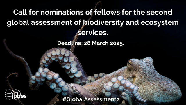 An image of an octopus. Overlay text reads "Call for nomination of fellows for the second global assessment of biodiversity and ecosystem services. Deadline 28 March 2025."