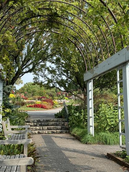 A serene garden path is framed by an arched trellis covered in greenery. Wooden benches line the sides, and stone steps lead up to a vibrant flower garden in the background. The scene is tranquil, with lush foliage and colorful blooms visible.