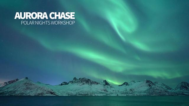 Aurora dancing over Senja with enough moonlight to bring out the blue hues. Preview of my tour video.
