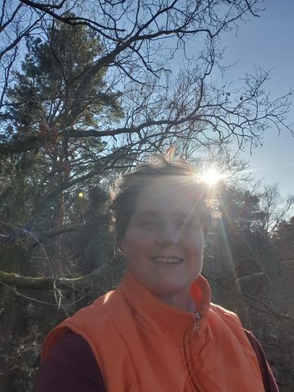 Ich bin im Baum, sonne scheint hinter meinem Kopf