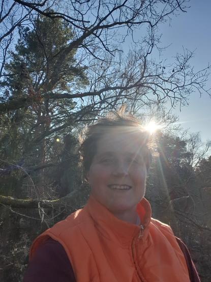 Ich bin im Baum, hinter mir blendet die Sonne