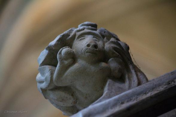 When I first visited Salisbury Cathedral in 2011, there was a challenge there to find some hidden things and curiosities.
One of them was to look out for a monkey throwing apples.
Since then, every time I visit this great cathedral, I take a look at this monkey!