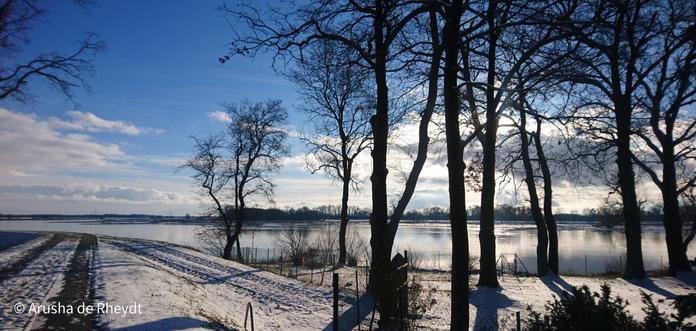 View of a river with bright blue sky, few clouds, tree in foreground and snowy path