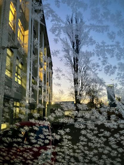 Das Bild zeigt eine Fensterscheibe, die mit filigranen Eisblumen bedeckt ist. Durch die Eisblumen hindurch sieht man ein mehrstöckiges Gebäude mit beleuchteten Fenstern und einen Baum ohne Blätter. Im Vordergrund ist ein Teil eines roten Autos erkennbar. Der Himmel im Hintergrund ist in sanften Farben von Blau und Orange getaucht, was auf die Dämmerung hindeutet. Die Eisblumen erzeugen einen verschwommenen, fast malerischen Effekt über der Szenerie.

Bereitgestellt von @altbot@fuzzies.wtf, generiert mit Gemini