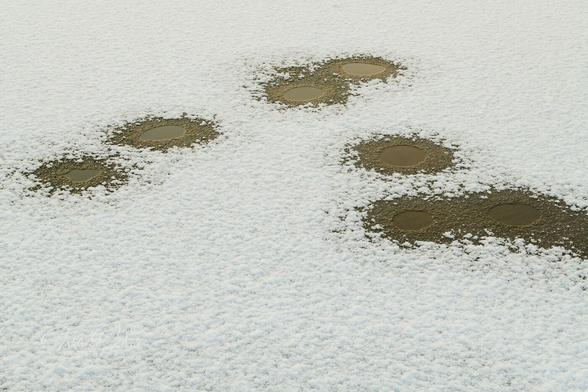 The entire frame is the icy surface of the pond covered with fresh snow. In several places, unfrozen, oval holes with water are visible. The ice around the holes has a brown tint.
