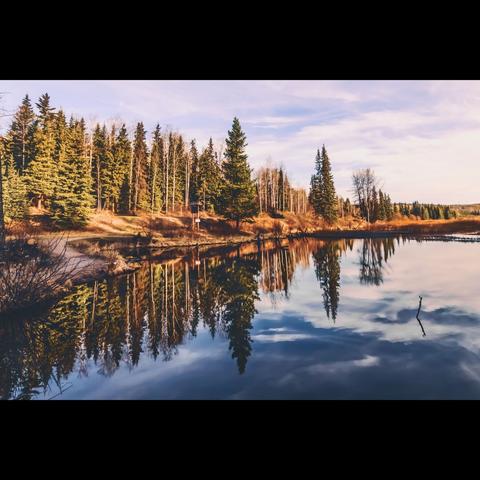 Photography of a Landscape in color, this is a forest with  reflection in a lake.British Columbia, Canada