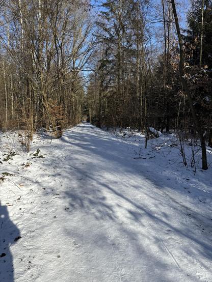 Eisiger Weg