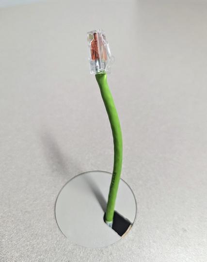 A green CAT-5 cable with a copper-coloured connector emerging from a table and looking like a plant