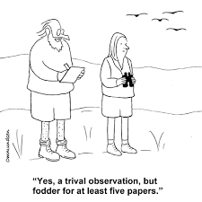 cartoon - cynical approach to data observations --> papers