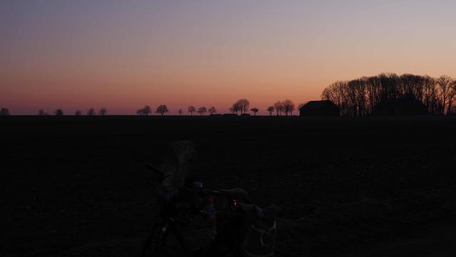 Eine Reihe an Bäumen als Schattenriss, vor einem Orange bis blau gefärbten Himmel.