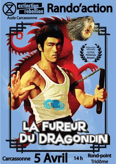 Détournement de l’affiche du film de Kung Fu (avec Bruce Lee) « La fureur du dragon » pour annoncée la journée de mobilisation